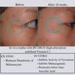 Hyaluron 3D Hydrator Multi Lamellar Emulsion The Advanced Response Face and Neck Cream-Serum with Matrixyl 3000 and Argireline Amplified