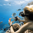H1+ Smart Waterproof Phone Case